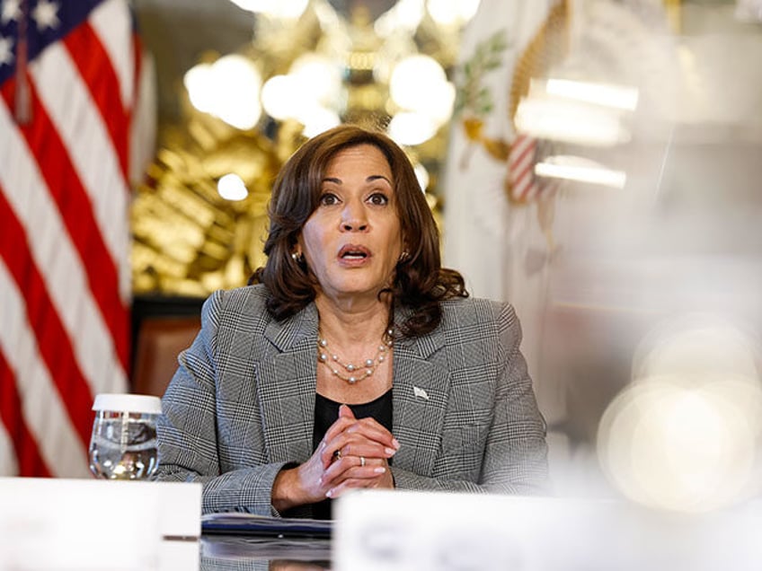 kamala harris pushes gun control that wouldnt have prevented jacksonville shooting