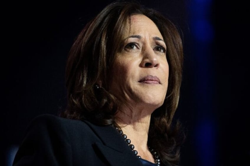 US Vice President Kamala Harris last week called a special counsel report on President Joe