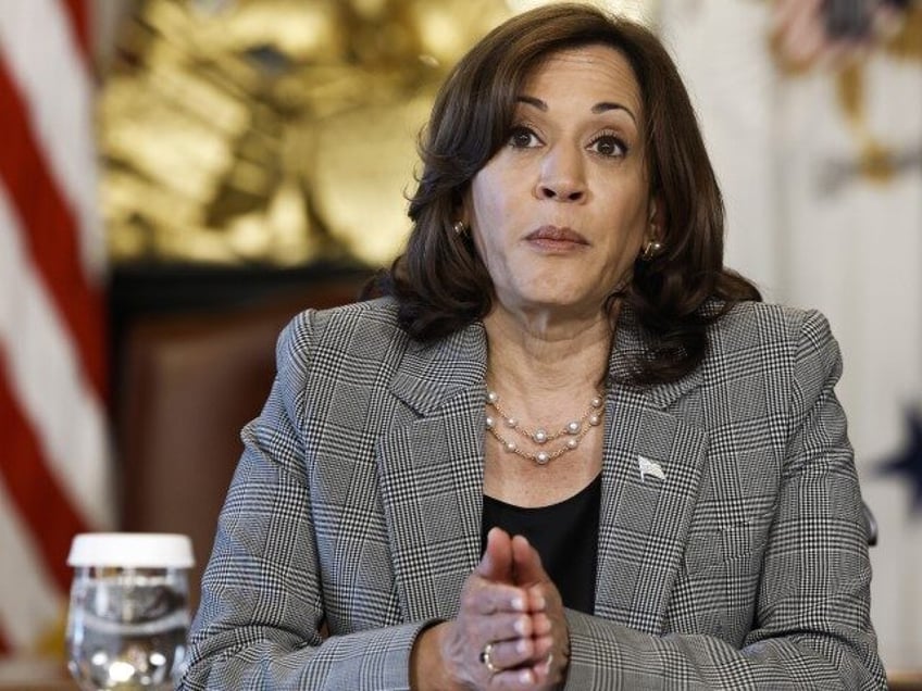 U.S. Vice President Kamala Harris speaks during a meeting on Artificial Intelligence in he