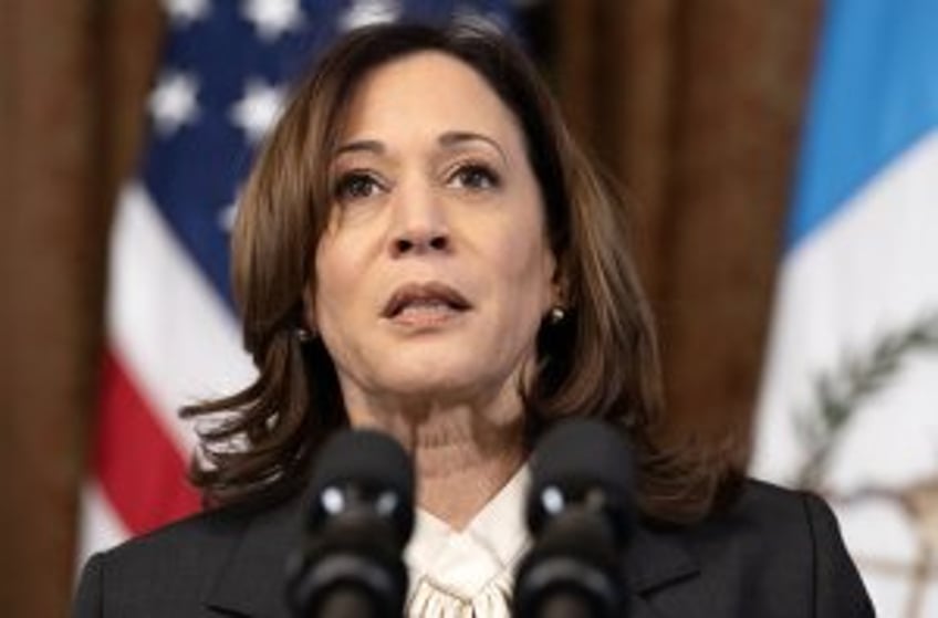 Kamala Harris to unveil 'historic' $20B investment in climate, clean energy projects