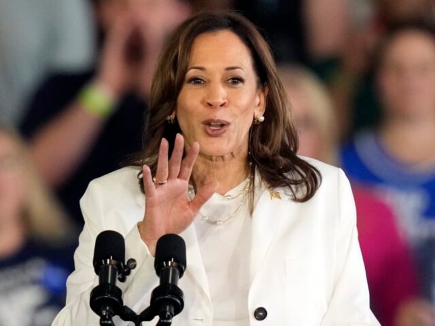 Democratic presidential nominee Vice President Kamala Harris speaks at a campaign rally We