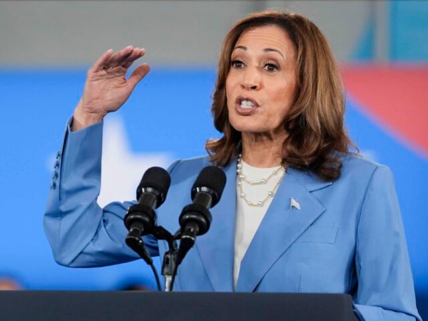 Democratic presidential nominee Vice President Kamala Harris speaks at a campaign event at