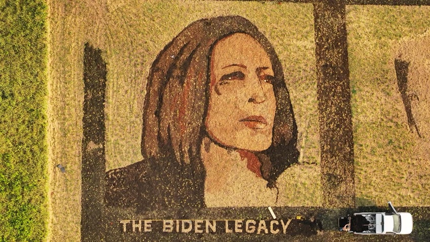 Crop art of Vice President Kamala Harris