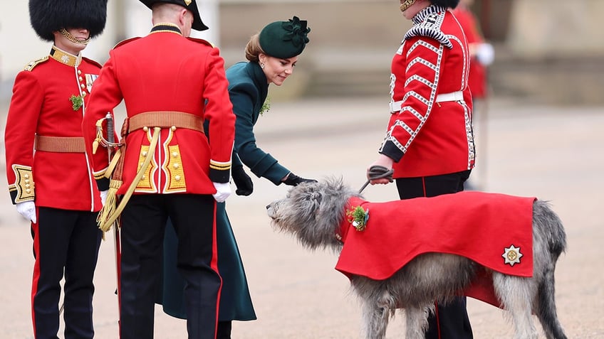 Kate Middleton patting an Irish wolfhound.