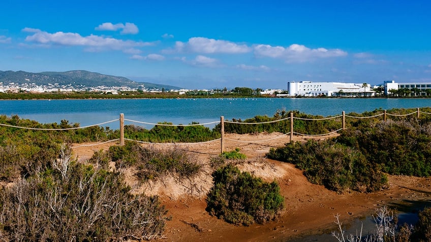 SES SALINES NATURAL PARK, IBIZA, BALEARIC ISLAND, SPAIN