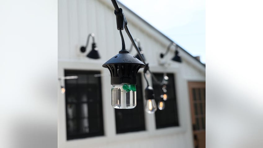 Light up your yard while protecting it from bugs. 