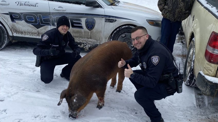 Cops posing with pig in snow
