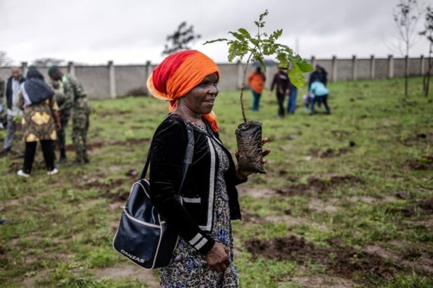 kenyans brave heavy rain to plant trees