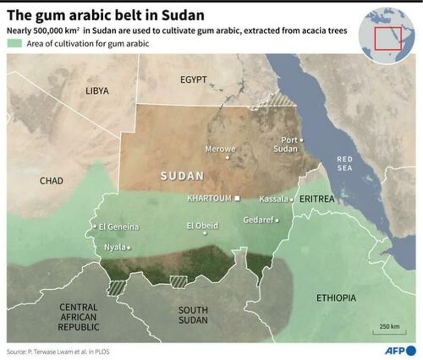 key coca cola pepsi ingredient controlled by rsf paramilitary in sudan