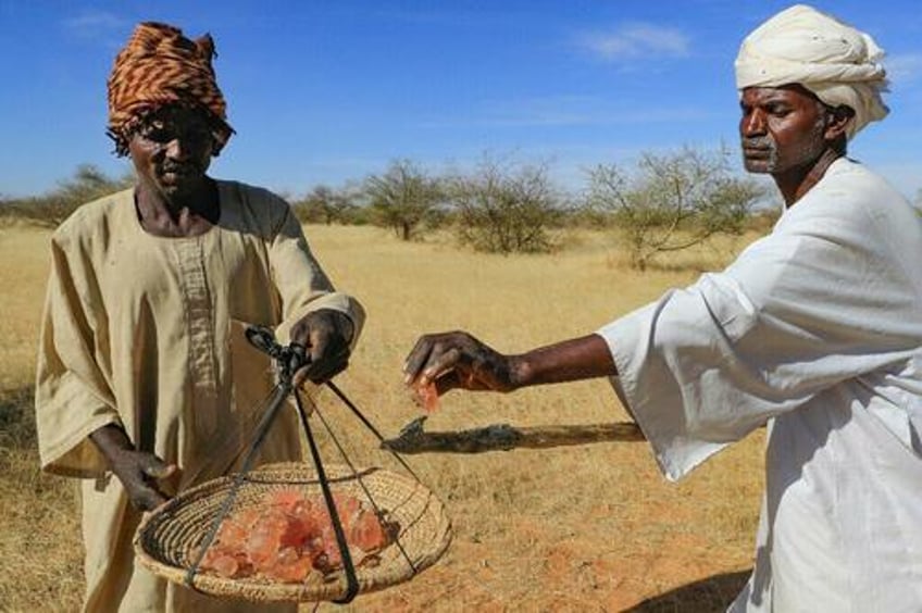 key coca cola pepsi ingredient controlled by rsf paramilitary in sudan