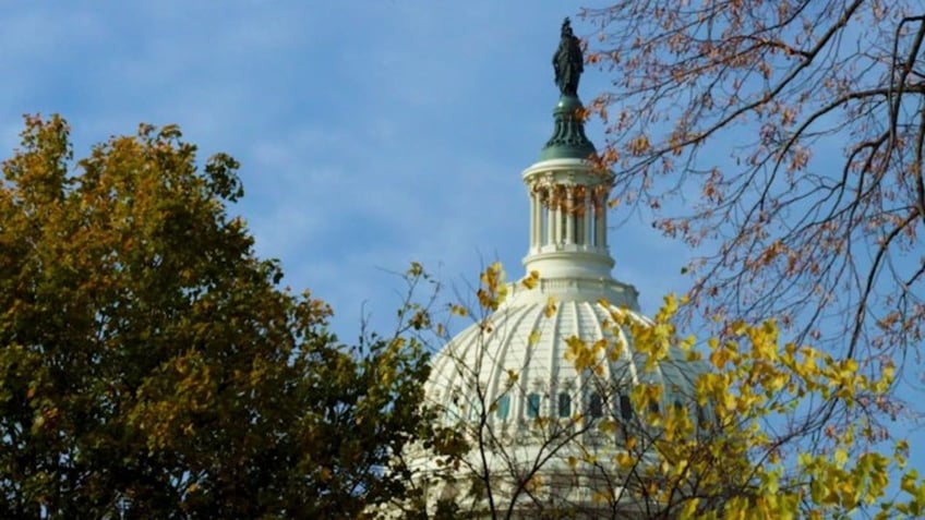 The dome of the U.S. Capitol building is seen from a perch in Washington, D.C. (Photo by Emma Woodhead, Fox News Digital)