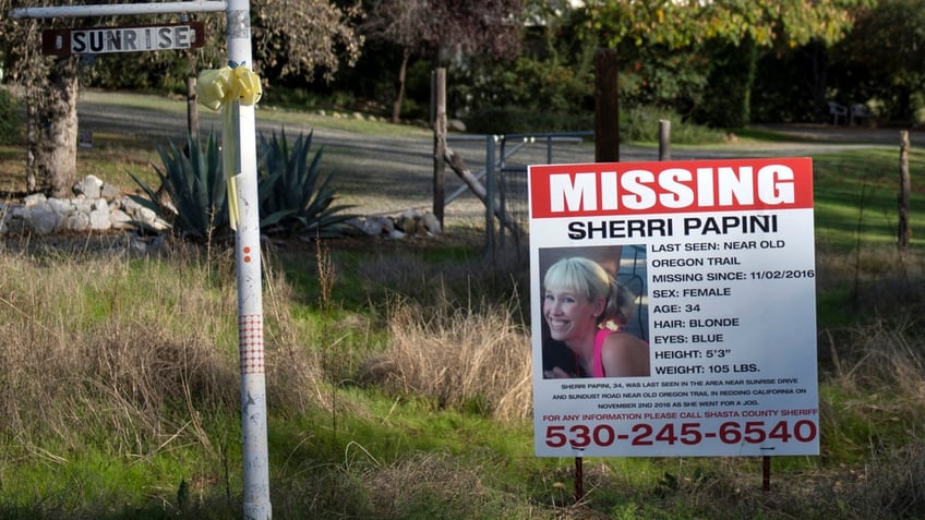 Sherri Papini missing person poster