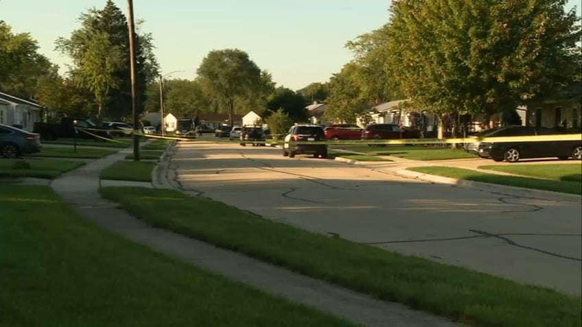 killer at large after adult couple 2 children and 3 dogs found shot to death in illinois home