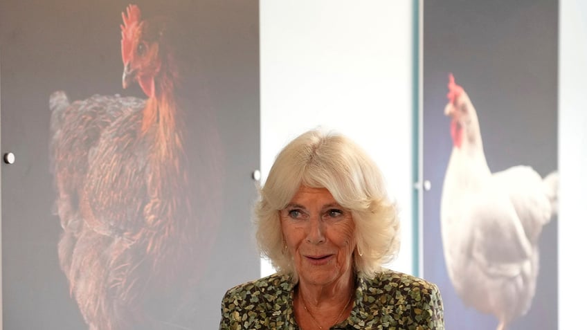 Queen Camilla in a floral dress standing between two photos of chickens.