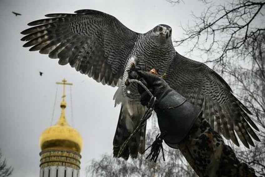 kremlin hawks frustrated that putin still has not declared formal state of war