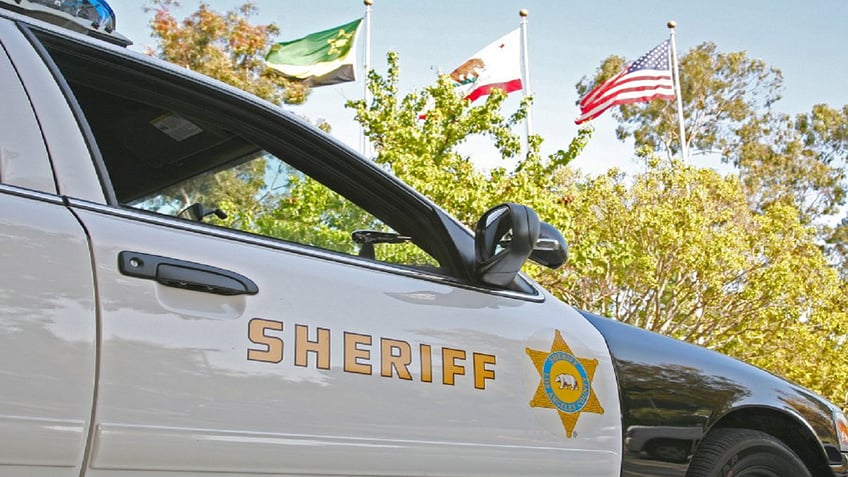 la internal affairs watchdog accuses leftist boss of hiding facts to thwart sheriffs reelection