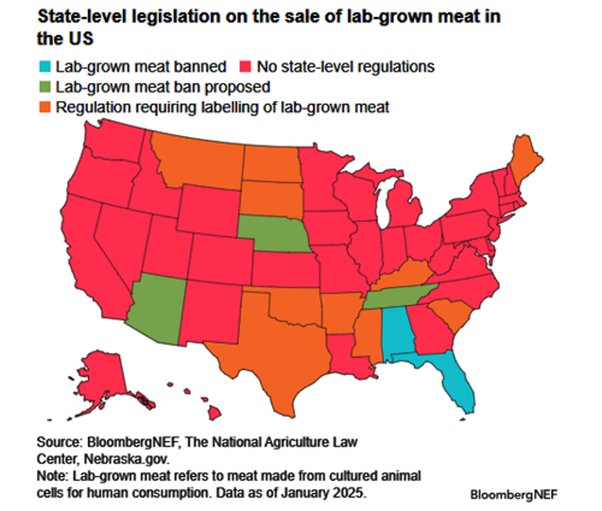 lab grown meat backlash builds as more states say no to bill gates fake food