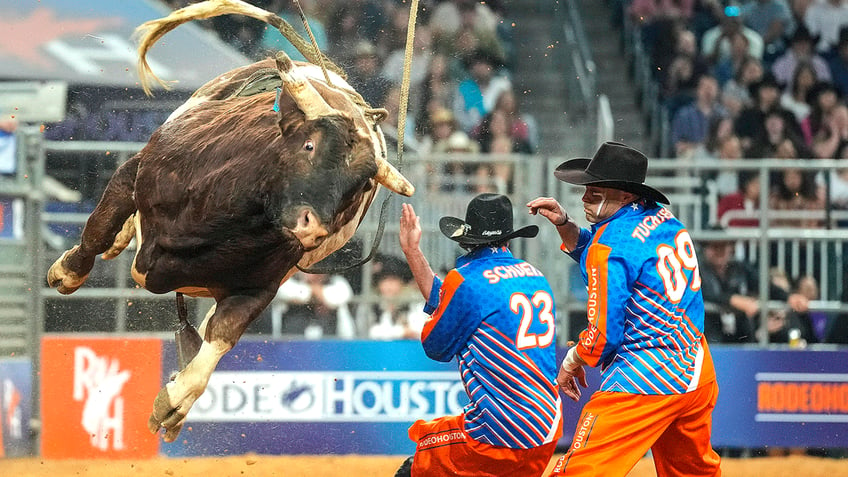 A photo from the Houston Rodeo 2023