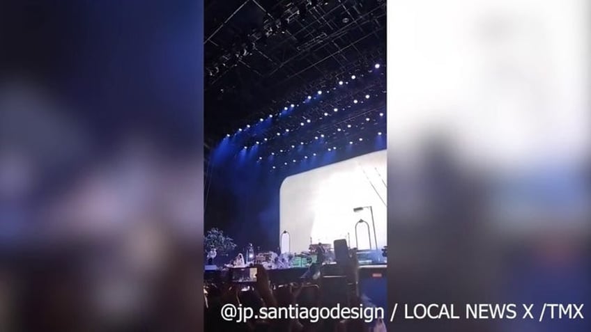 lana del reys fans fall like dominos in scary concert video