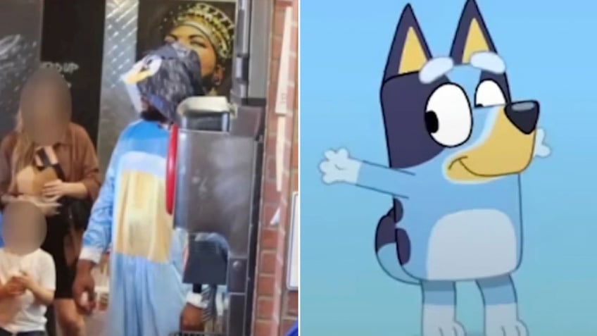 Bluey impersonator and Bluey show