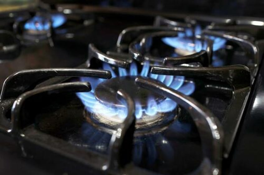 lawmaker questions top official over proposed gas stove ban
