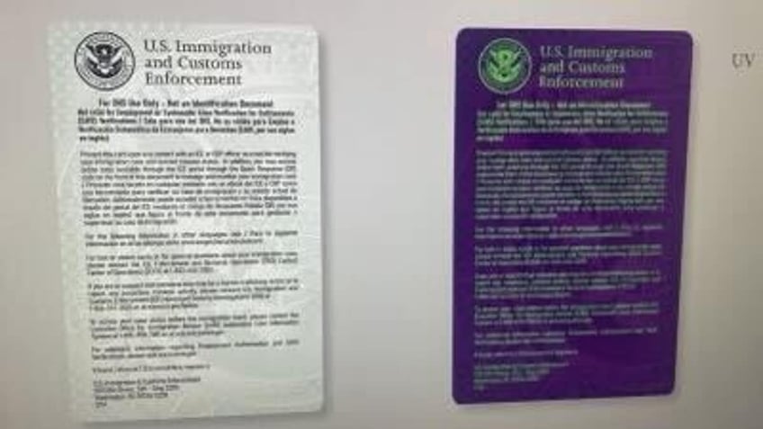 leaked images show biden admins planned ice id card for illegal immigrants