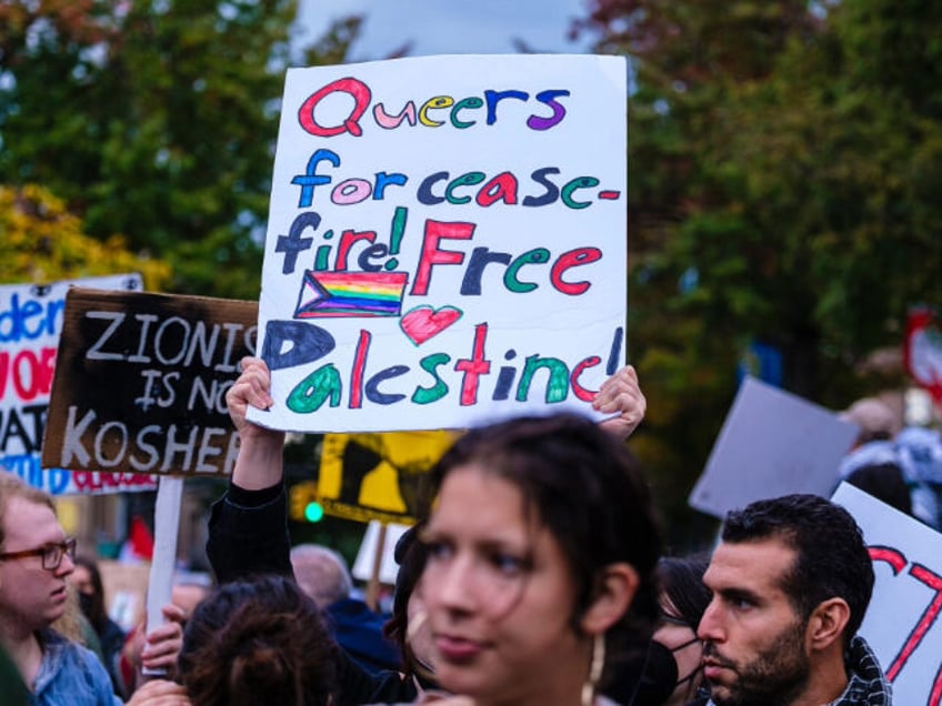 left holds queers for palestine rally despite israels pro lgbtq laws