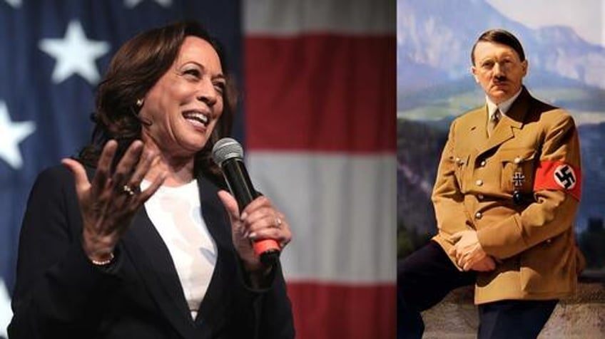 leftist kamala supporter suggests taking an endorsement from hitler would be fine