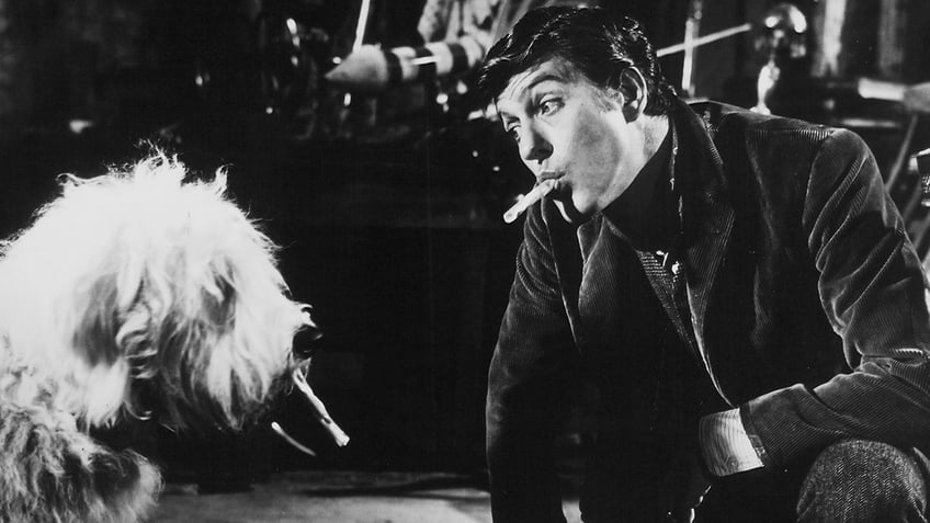 Dick Van Dyke on screen with a dog