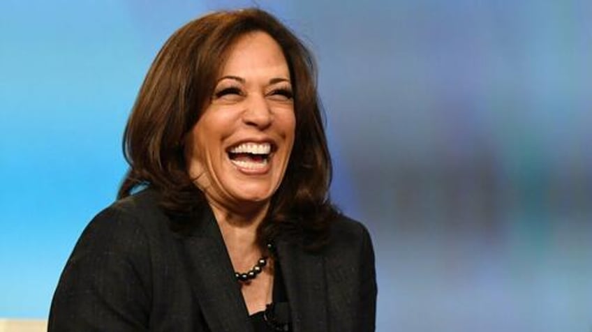 liberal college professors get on the kamala bandwagon she is engaging and energetic has a good record