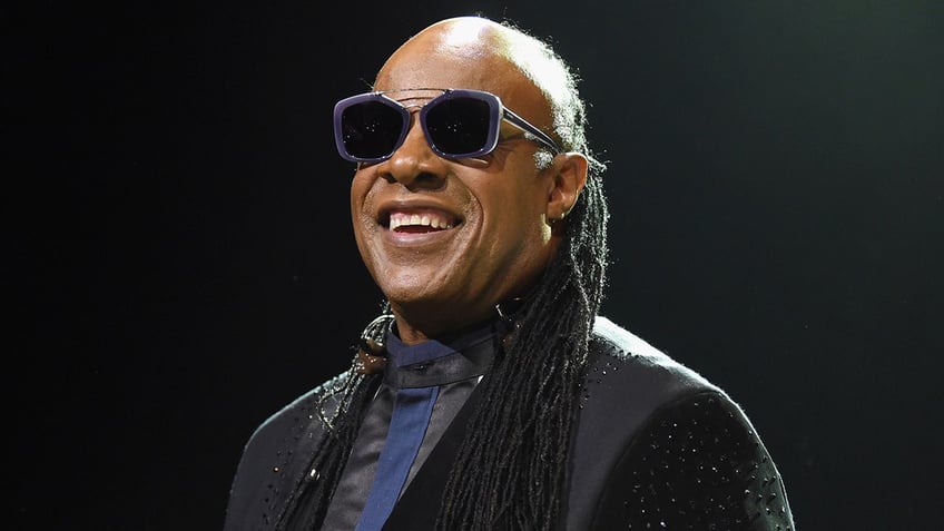 liberal reporter pushes biden to meet with stevie wonder on racial issues hes very concerned