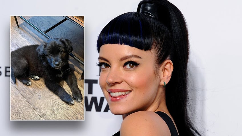 Lily Allen and puppy