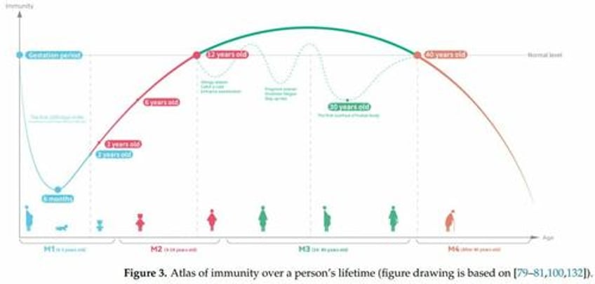 liquid gold how bovine colostrum is revolutionizing gut health immunity athletic performance and inflammation management