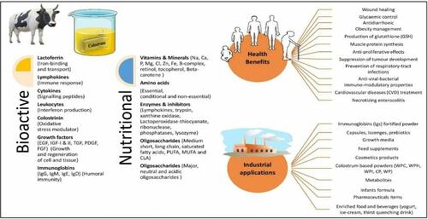 liquid gold how bovine colostrum is revolutionizing gut health immunity athletic performance and inflammation management