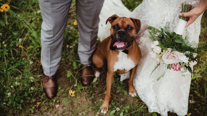 Dog stands next to groom and bride