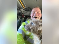 Local firefighter adopts dog after rescuing it from deceased owner's home: ‘Jumped into my arms’