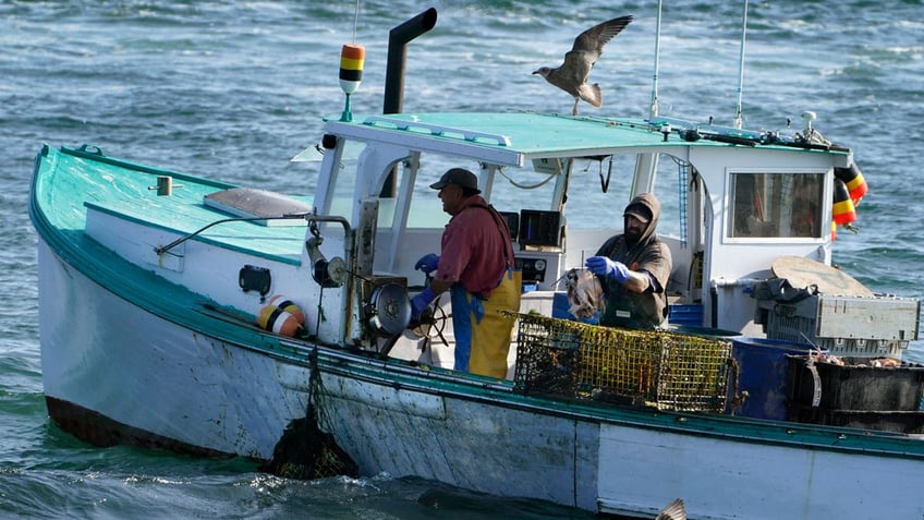 local fishermen slam biden administrations newly unveiled plans to industrialize gulf of maine