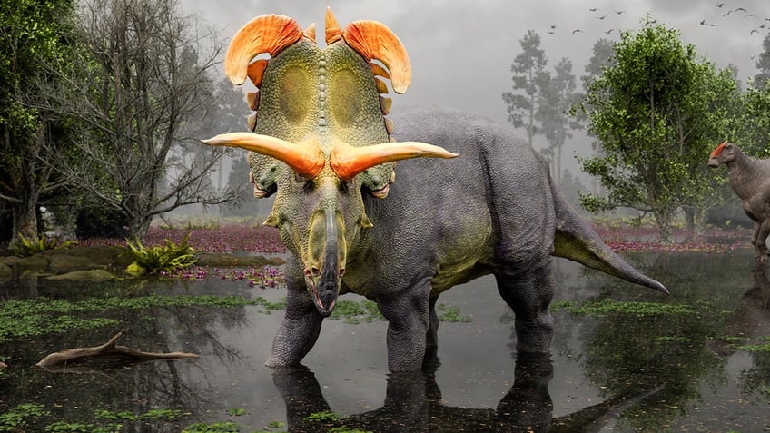 Lokiceratops rendering