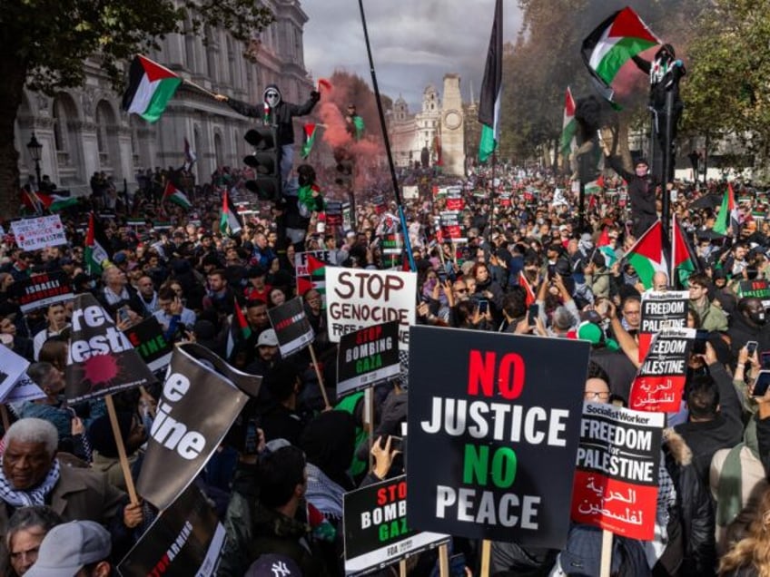 londons met police beg pro palestine protesters to reconsider demo on armistice day