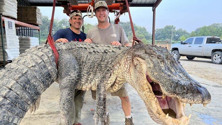 longest alligators in the us that broke american hunting records officially and unofficially