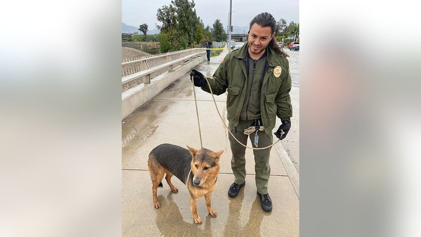 The dog, an LAFD crew member