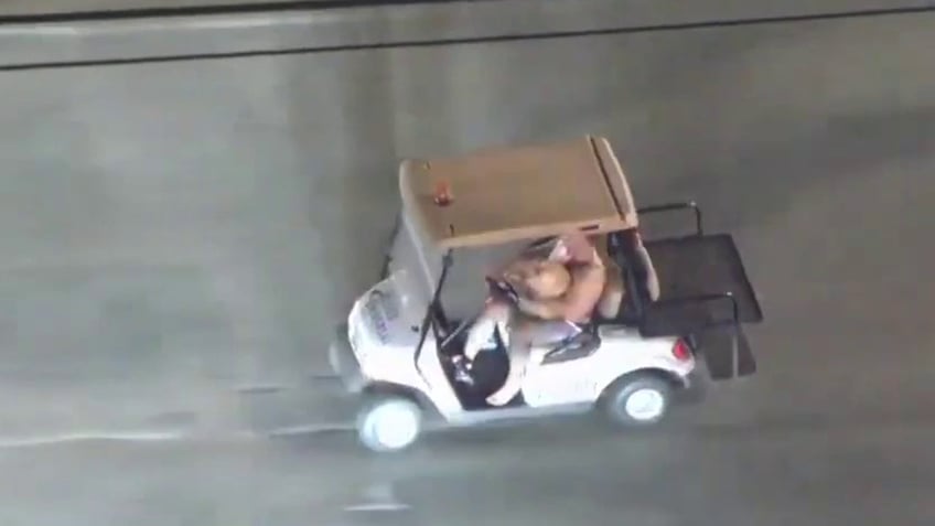 los angeles police pursue shirtless man driving stolen golf cart with dog on his lap video shows