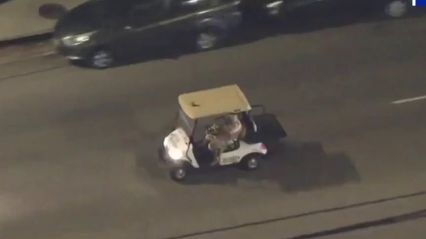 los angeles police pursue shirtless man driving stolen golf cart with dog on his lap video shows