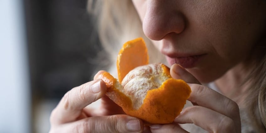 loss of smell could be warning sign for future alzheimers disease researchers say