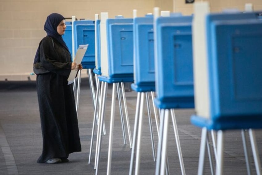 Voters cast their ballots during Michigan's early voting period on October 29, 2024 in Dea