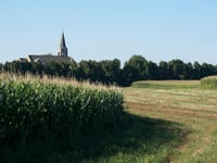 Lutherans in Walz’s Minnesota put potlucks before politics during divisive election season