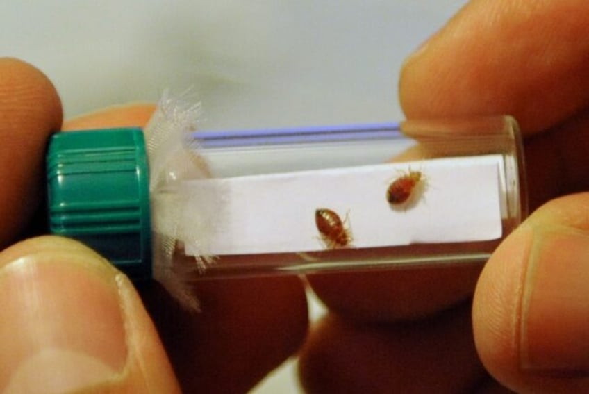 macron party plans bill to squash france bedbug scourge