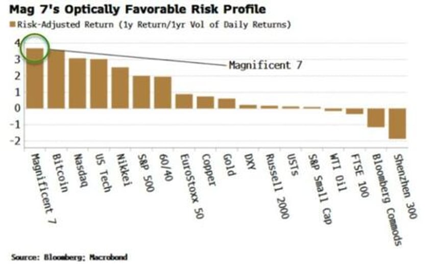 magnificent 7s blistering risk adjusted return is a warning