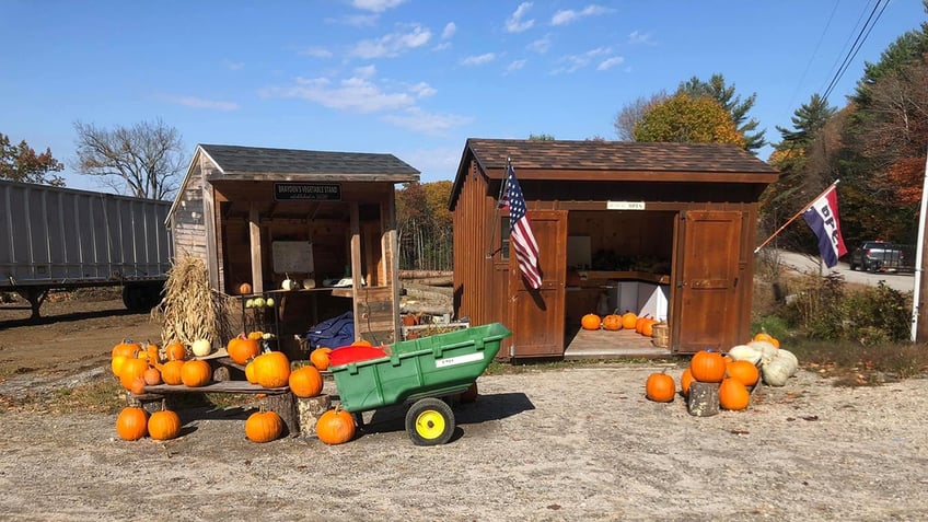 maine teens vegetable stand thrives after a disappointing robbery the kid has heart