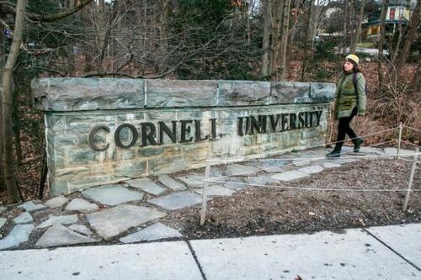 major donor calls for cornell university president to resign for allegedly promoting dei